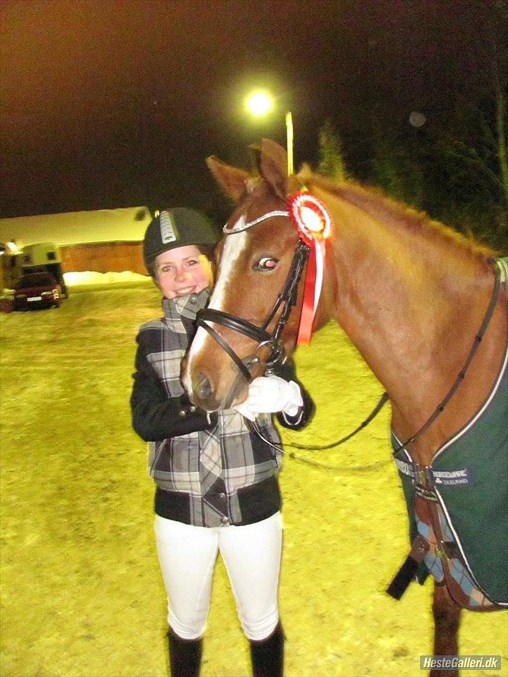 Anden særlig race Stald Hove's Safa Junior *SOLGT* - 1. plads i lc1 med 71,25% :-D<3 han var så fin :-*<3 foto: Maja Jeppersen :-D<3 billede 8