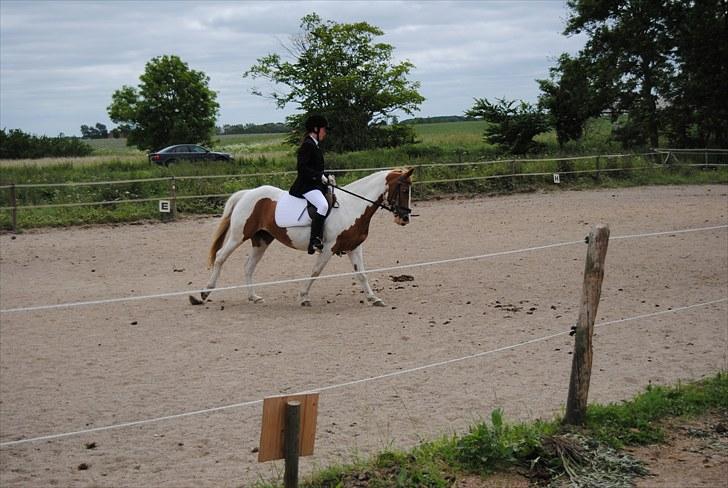 Pinto Beauty 'stjerneponyen!'  - 15* LC2 i skamby ridecenter :D ~foto: far~ billede 8