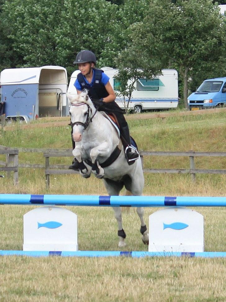 Welsh Pony (sec B) Hovmarkens Liva *Solgt* - Amalie og Liva *NYT* billede 10