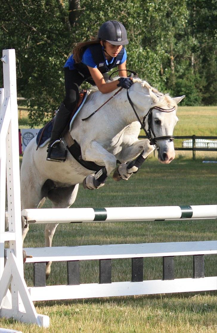 Welsh Pony (sec B) Hovmarkens Liva *Solgt* - Amalie og Liva *NYT* billede 12