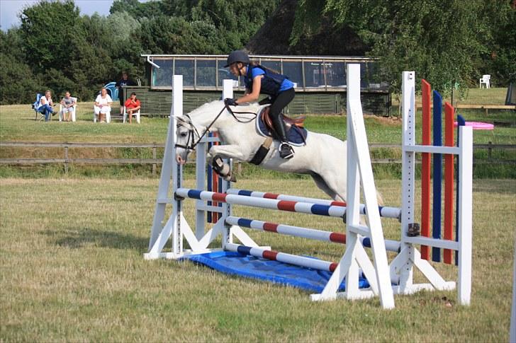 Welsh Pony (sec B) Hovmarkens Liva *Solgt* - Amalie og Liva *NYT* billede 13