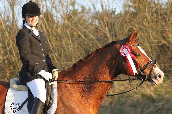 Trakehner Kalliope III RHT - Stævnedebut d. 18/4 2011 billede 14