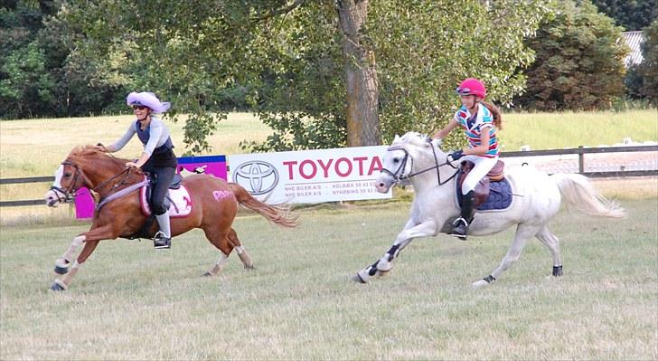 Welsh Pony (sec B) Hovmarkens Liva *Solgt* - Amalie på Liva og Cecilie på Guffi løber om kamp til show i OHR *NYT* billede 17