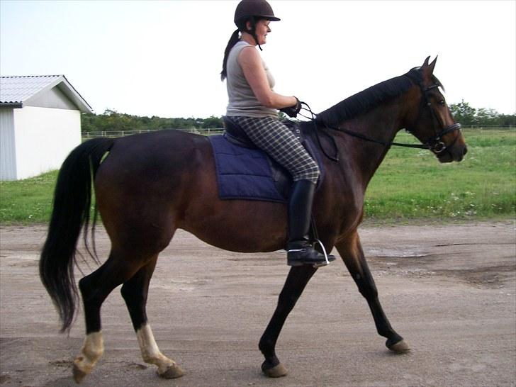 Oldenborg Uniquet Ellegaard SOLGT - Uniquet Ellegaard og mig 3 gang jeg rider ham d.14/7-2010 og Nanna min datter er fotograf  billede 5