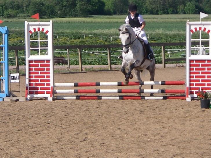 Anden særlig race Luka billede 14