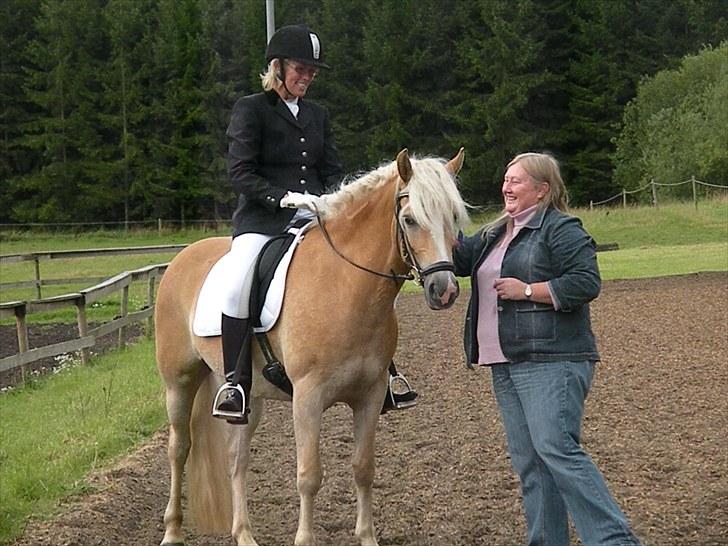 Haflinger Nyegaards Nascha EHA 573. - Vi fik en roset af formanden for Hinnerup rideklub til Elitekåringen 2009 - Tusind tak! billede 9