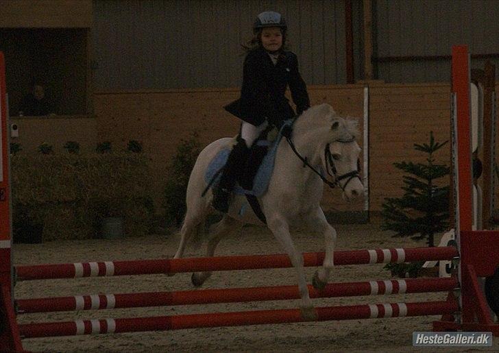 Anden særlig race GINIE!<3  (søsters pony) billede 20