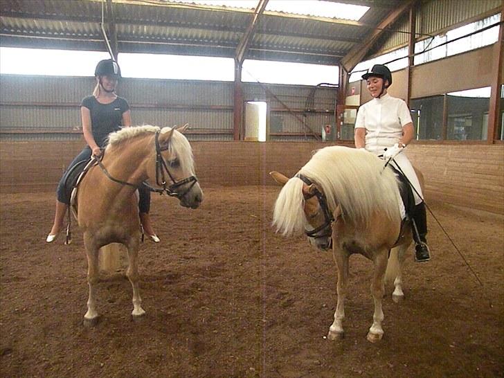 Haflinger Nyegaards Nascha EHA 573. - Sofie & Nascha, og Lis Nygaard & Nikie (Naschas opdrætter og mor). Super I kom helt fra Sjælland for at deltage i stævnet i Haderslev, Juli 2010! Super dejligt at se jer :) billede 11