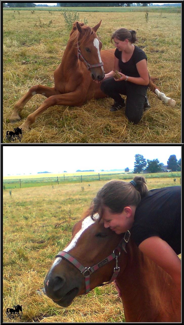 Dansk Varmblod | Poppelgårdens Atika - Atika og jeg. Foto: Marie-Louise Kierrumgaard. billede 13