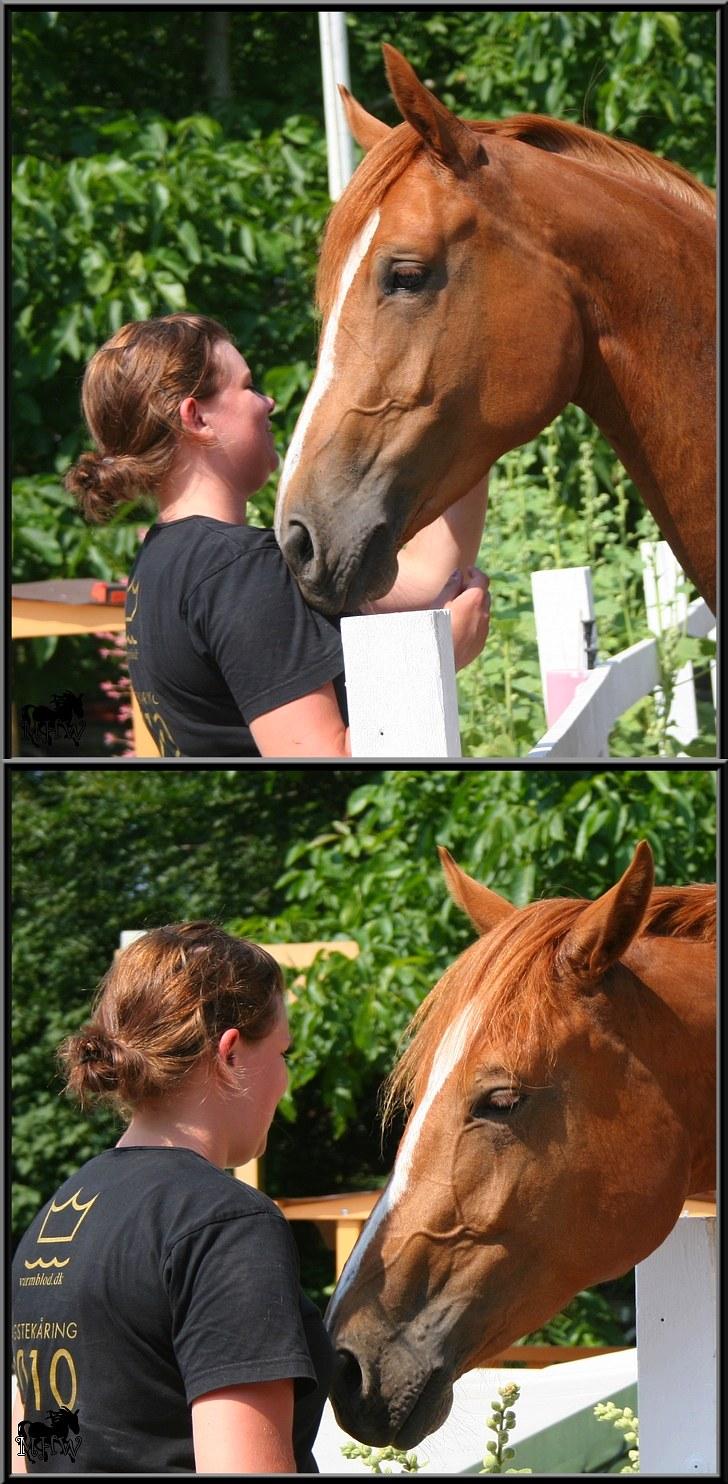 Dansk Varmblod | Poppelgårdens Atika - Smukke Atika & jeg. Foto: Marie-Louise Kierrumgaard, 10. juli 2010. billede 14