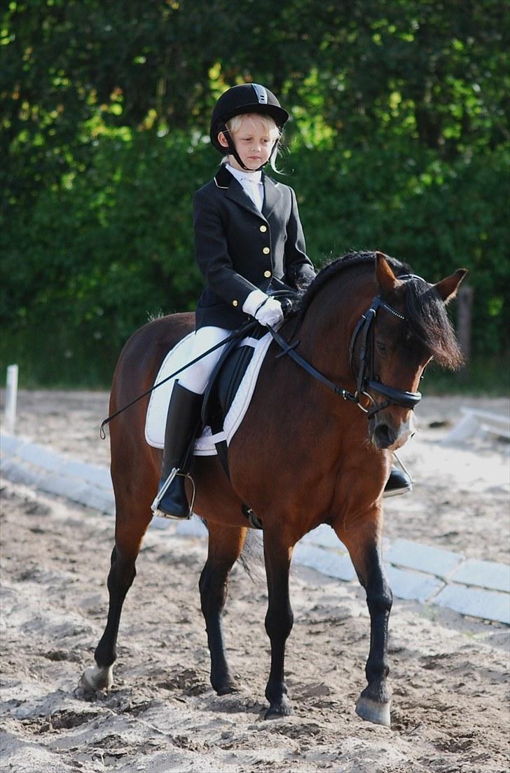 Anden særlig race bonnie billede 7