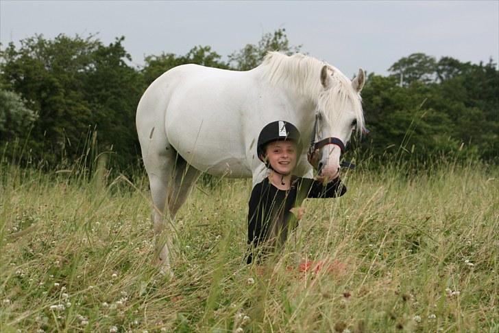 Welsh Pony (sec B) Stendyssen´s sunglimps <3 - goddag min søde lille pony 2010 billede 5