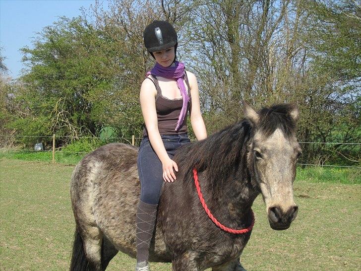 Connemara Goldie - Tøsen i Cordeo ;) <3 April 2011 billede 16