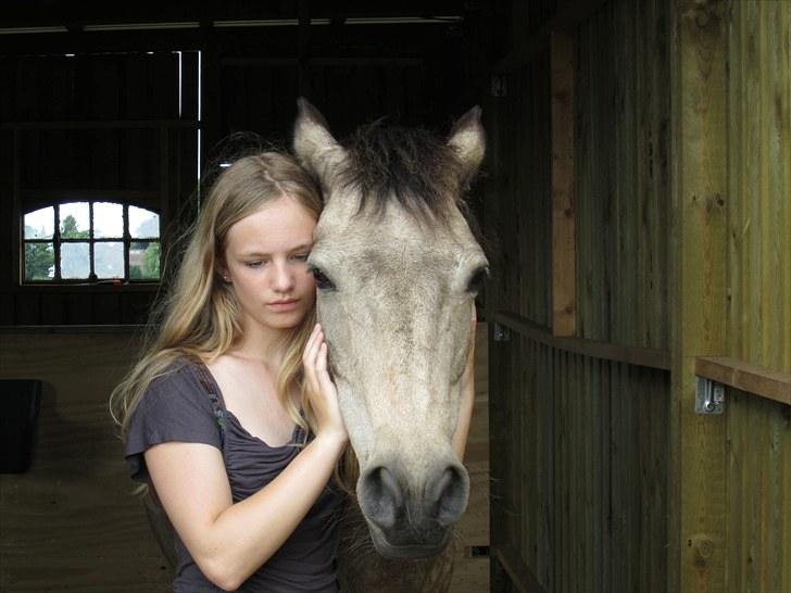 Connemara Goldie - Jeg elsker dig! <3 billede 17