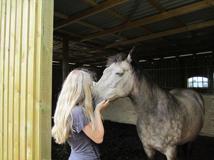 Connemara Goldie - Et kys fra mig, betyder, at du altid vil være der for mig, og at jeg Aldrig forlader dig! Aldrig<3 billede 18