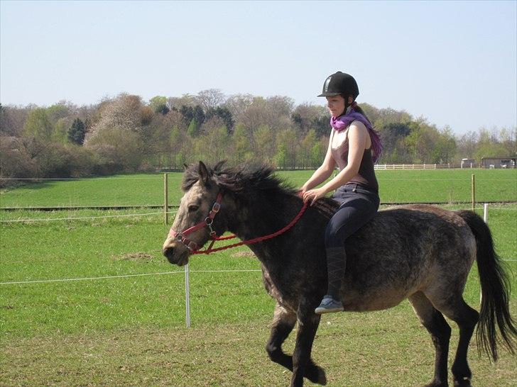 Connemara Goldie - Du er køn på alle måder! <3 ;* billede 19