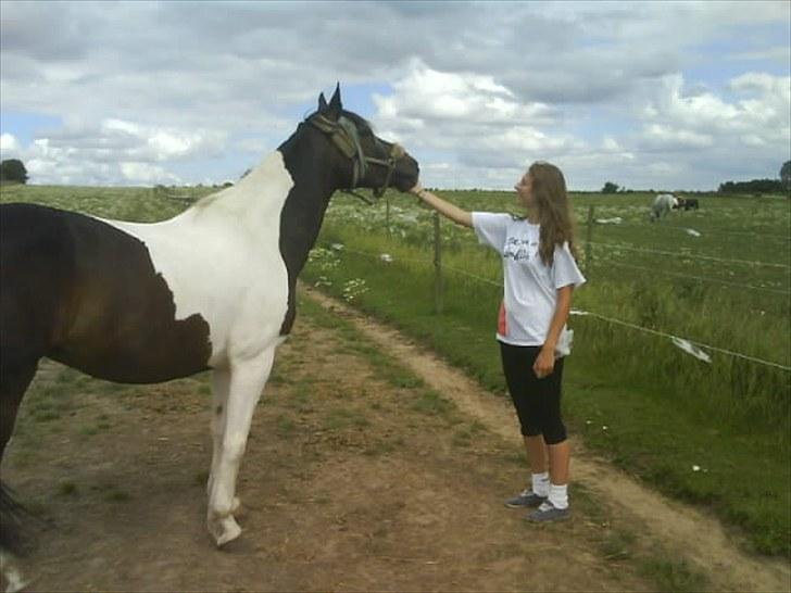 Anden særlig race Esther - Gamle part! :'( - Foto: Camilla billede 20