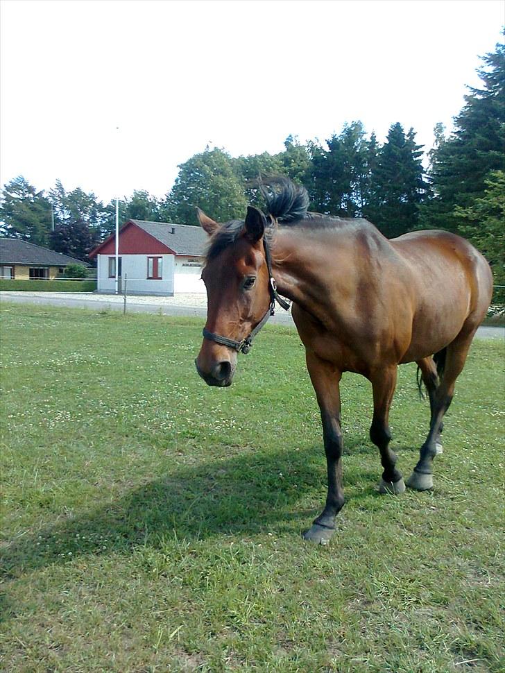 Traver Luke billede 4