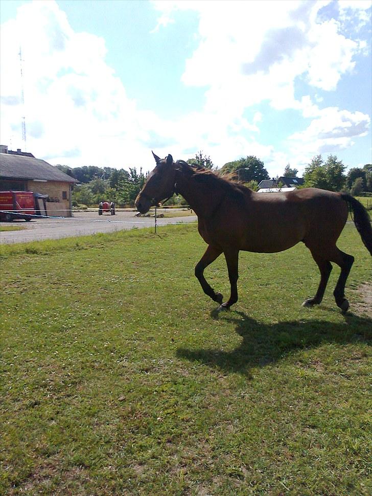 Traver Luke billede 10