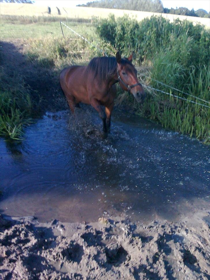 Traver Luke billede 14