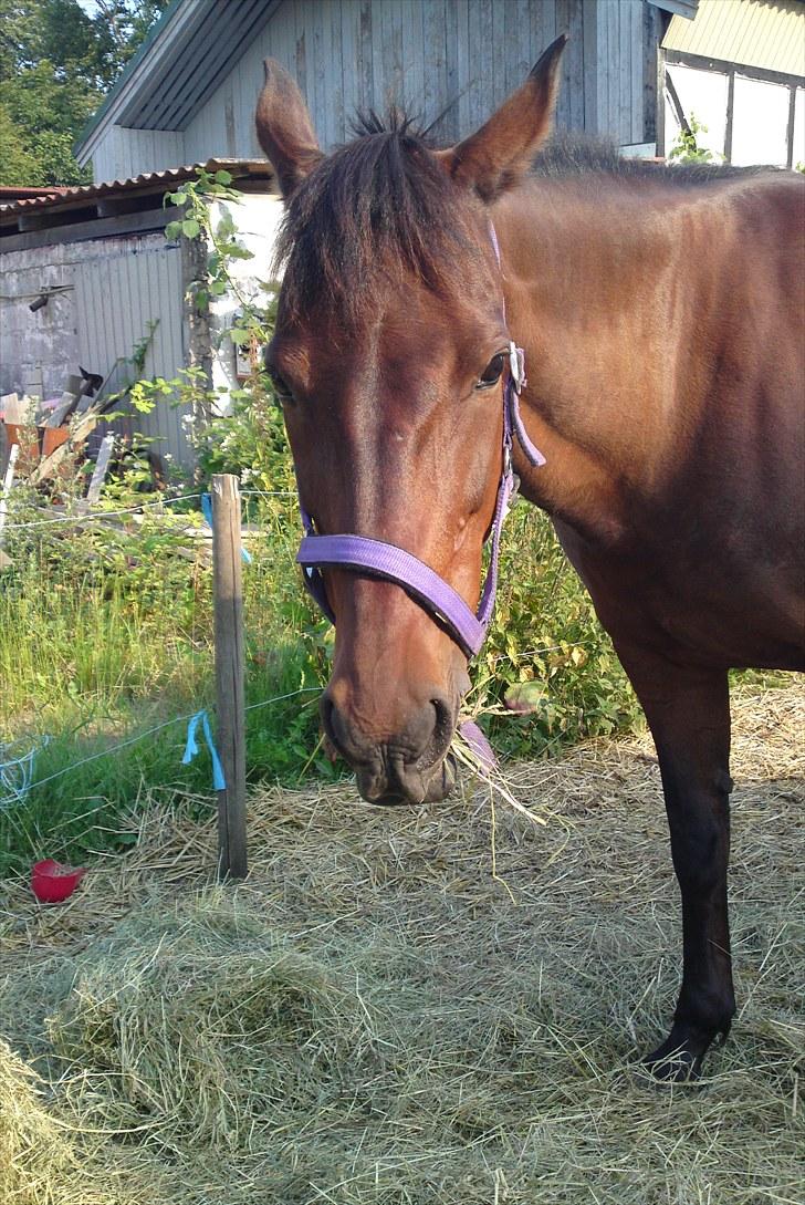 Traver La bell - Min smukke Labell billede 3