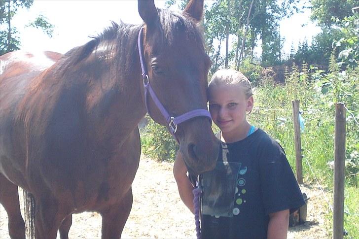 Traver La bell billede 4