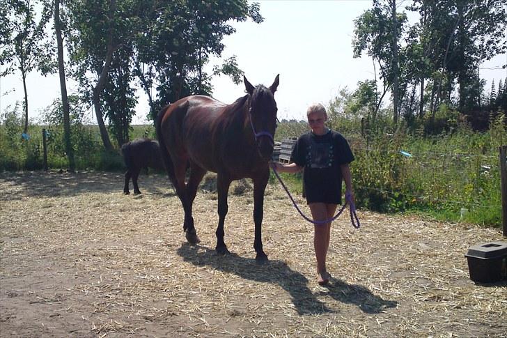 Traver La bell billede 7