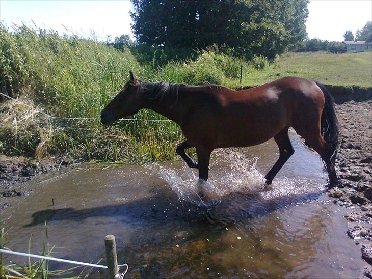 {{currentPhoto.altText}} billede {{currentPhoto.number}}