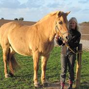 Anden særlig race Tøzen