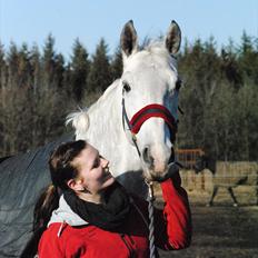 Anden særlig race Sevenhills Tyrone Tigers