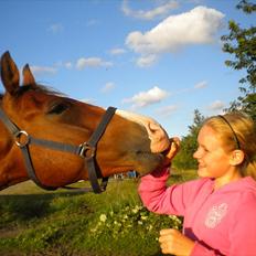 DSP Haahr´s Kithara †R.I.P† D.23. Aug 2010 :-(