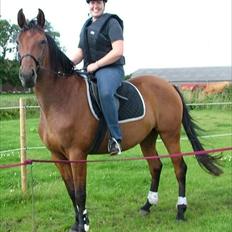 Anden særlig race Star