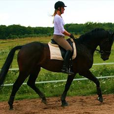 Oldenborg Calvino Langmose 