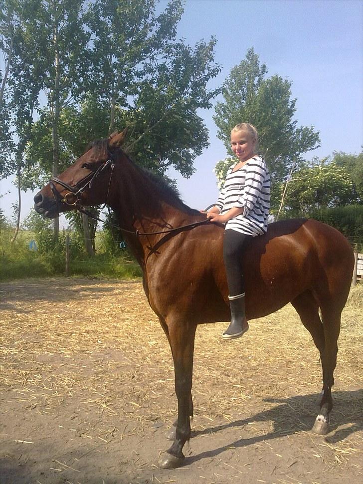 Traver La bell billede 9