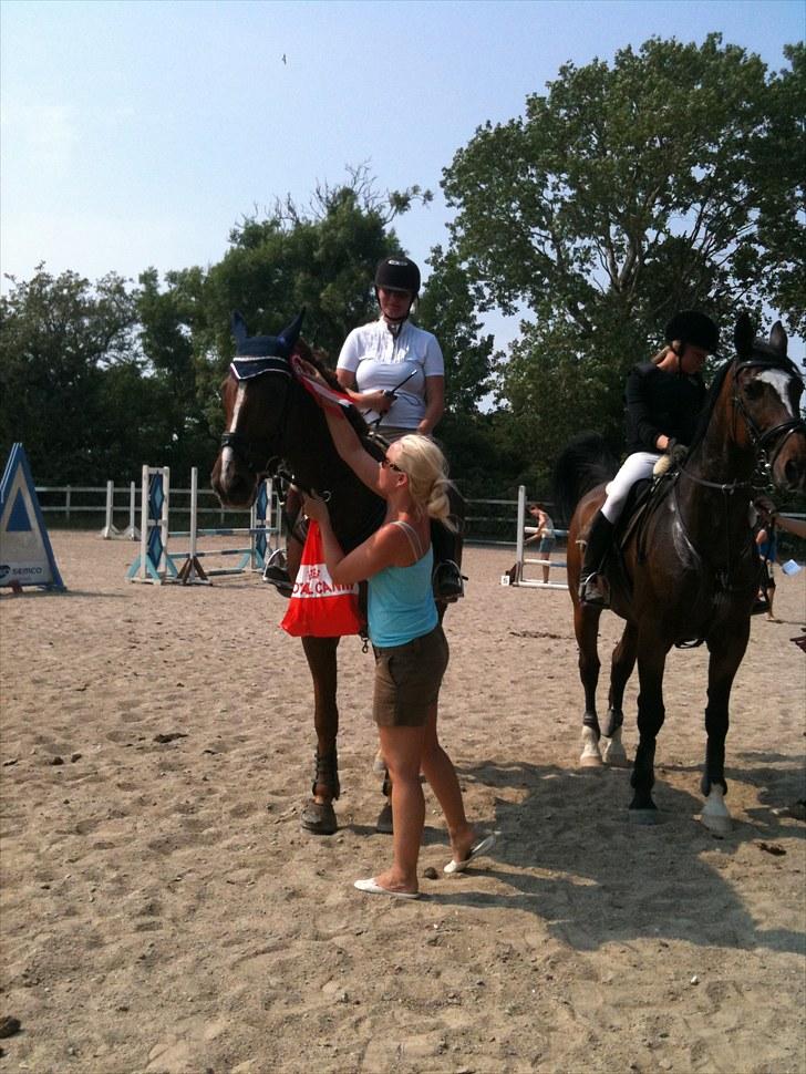 Anden særlig race Chianti Zamangah billede 4