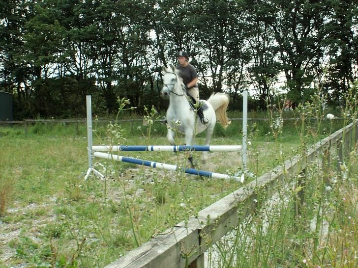 Anden særlig race El Shari - 19. juli 2010. Var lige oppe at springe på den gamle. Den stakkels hest er helt ude af form. Baklager kvaliteten.  billede 20