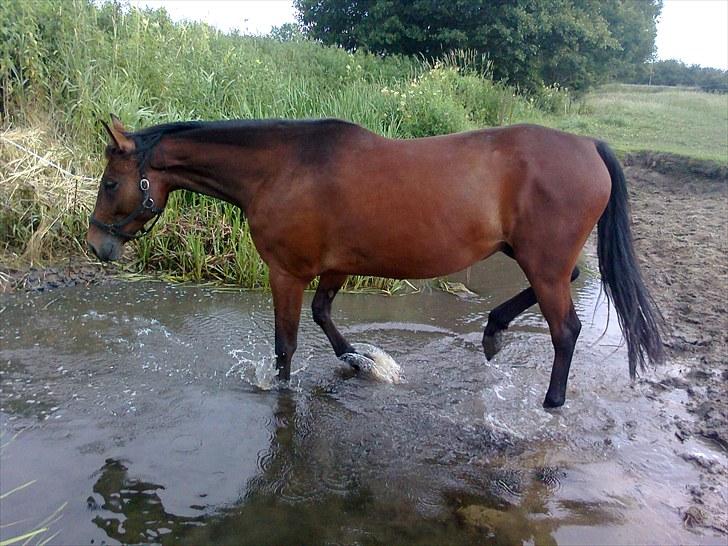 Traver Luke billede 17