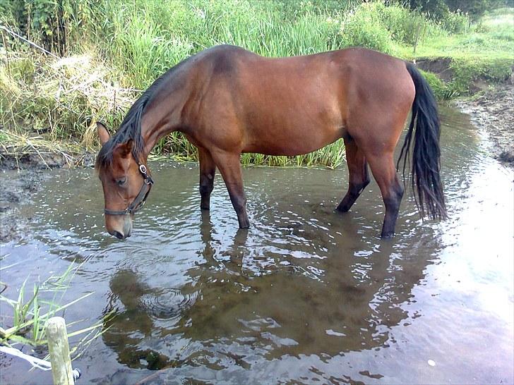 Traver Luke billede 18