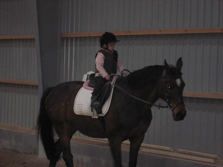 Dansk Varmblod Kiki "lynild" vogt - Isabella på 5 år rider på Kiki billede 7