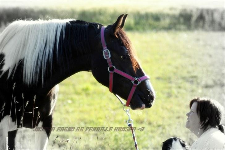 Pinto Jasmin Engbo - uden dig, havde mit liv set helt anderledes ud. billede 9
