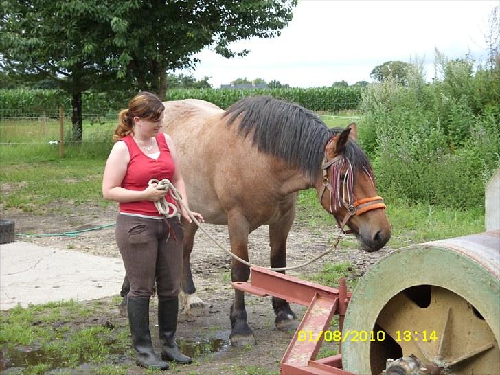 Anden særlig race Porshedens Katinka - Katinka hilser på en ´farlig´ trommel, der ikke plejer at være der. August 2010 billede 3