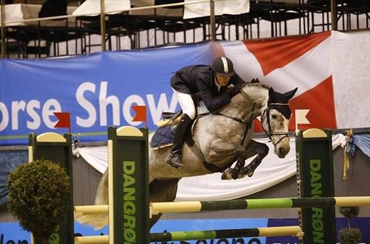 Hollandsk Varmblod Venessa - Krybbe - Billede 6 Venessa og gamle ejer Christian Jansen til CSI 2* på villhelmsborg 2010 :D billede 6