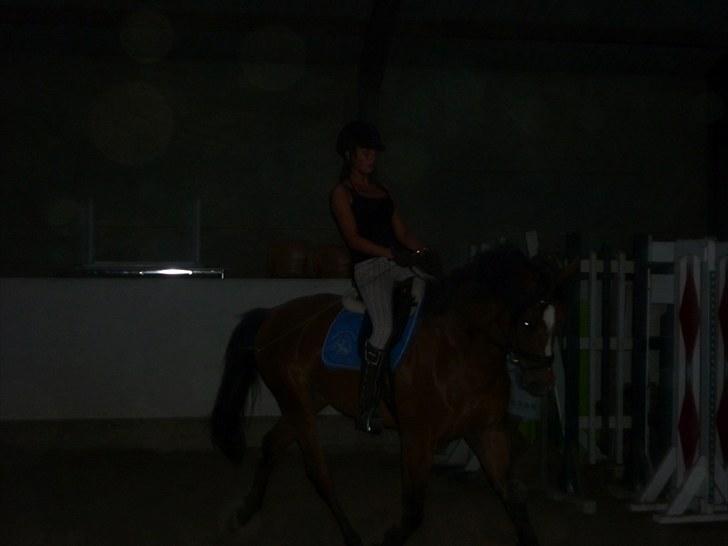 Ungarnsk Varmblod  Ramzes furioso Legény - død :'( billede 11