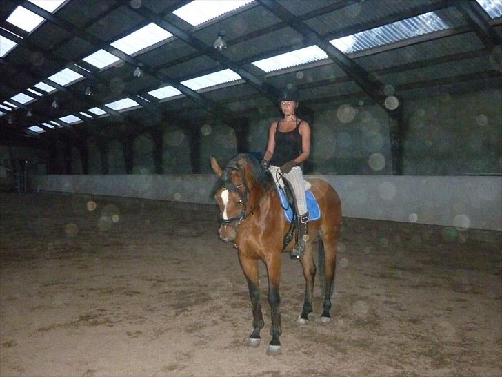 Ungarnsk Varmblod  Ramzes furioso Legény - død :'( billede 12