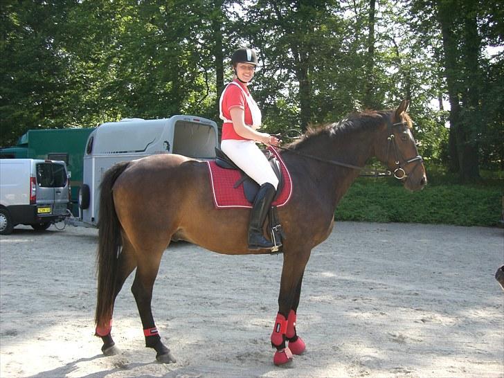 Dansk Varmblod Niendamgaards Morgan - Til københavnerridtet 2010 billede 18