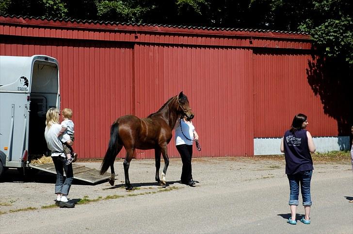 Anden særlig race Suna's Supaya billede 1