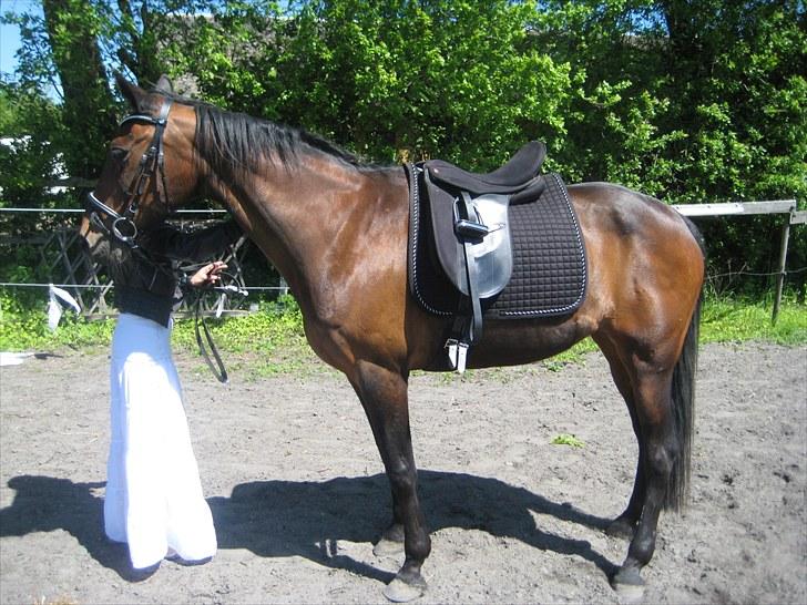 Traver sissel win - smukke sille, juli 2010 billede 16