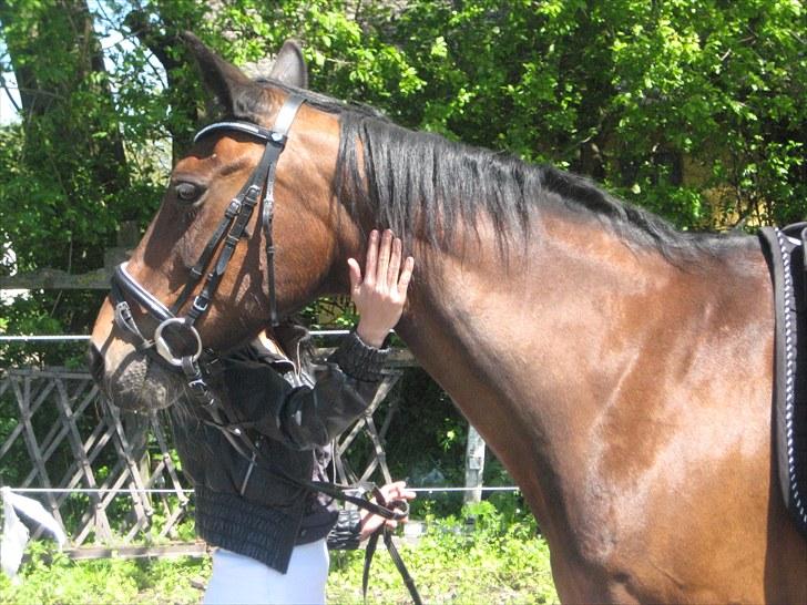 Traver sissel win billede 17