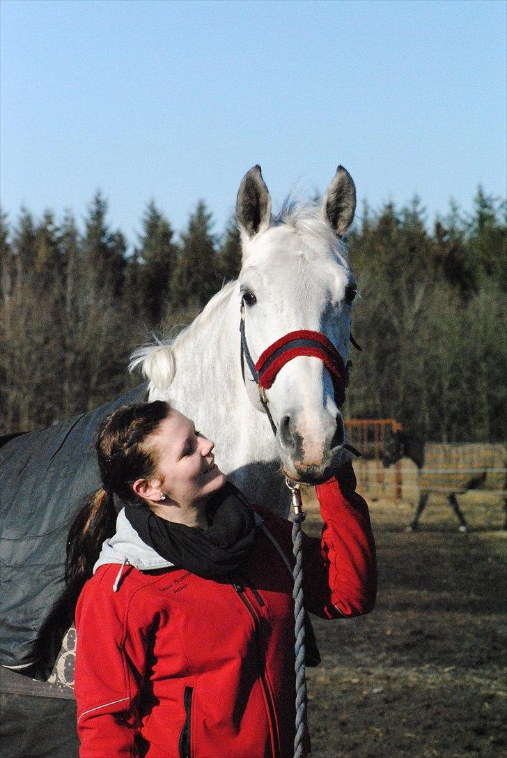 Anden særlig race Sevenhills Tyrone Tigers - Velkommen til Tigers profil (: - Hygge med min Tiger :* - Billedet er taget af Maiken . billede 1
