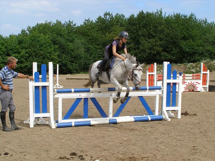 Anden særlig race Kiwi - :-) billede 17